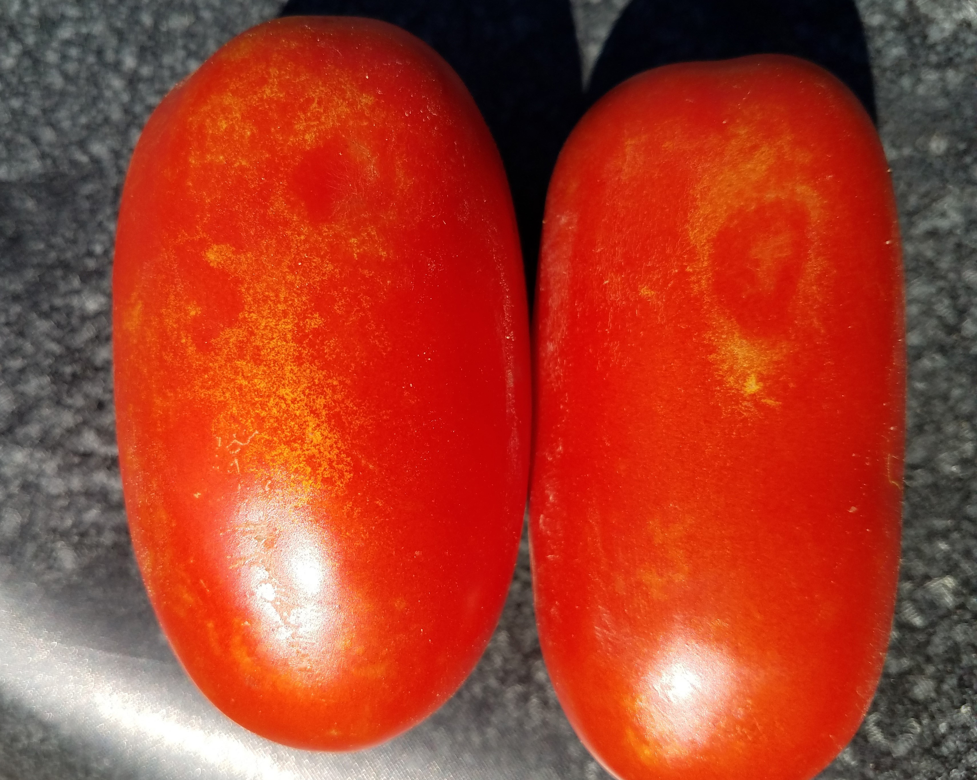 Thrips damage on tomato